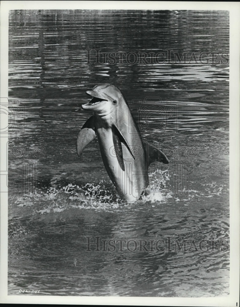 Press Photo Flipper - Historic Images