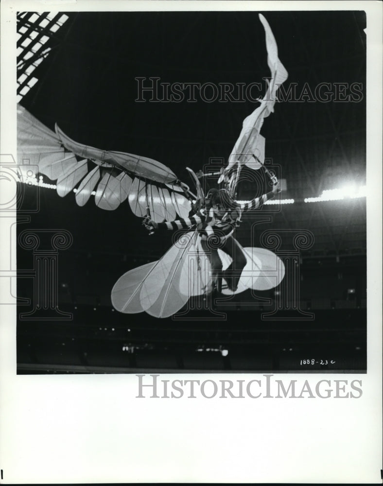 1971 Press Photo Donald Sutherland as Alex in Alex in Wonderland - Historic Images
