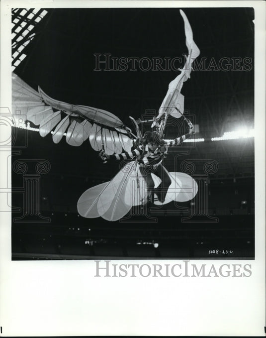 1971 Press Photo Donald Sutherland as Alex in Alex in Wonderland - Historic Images