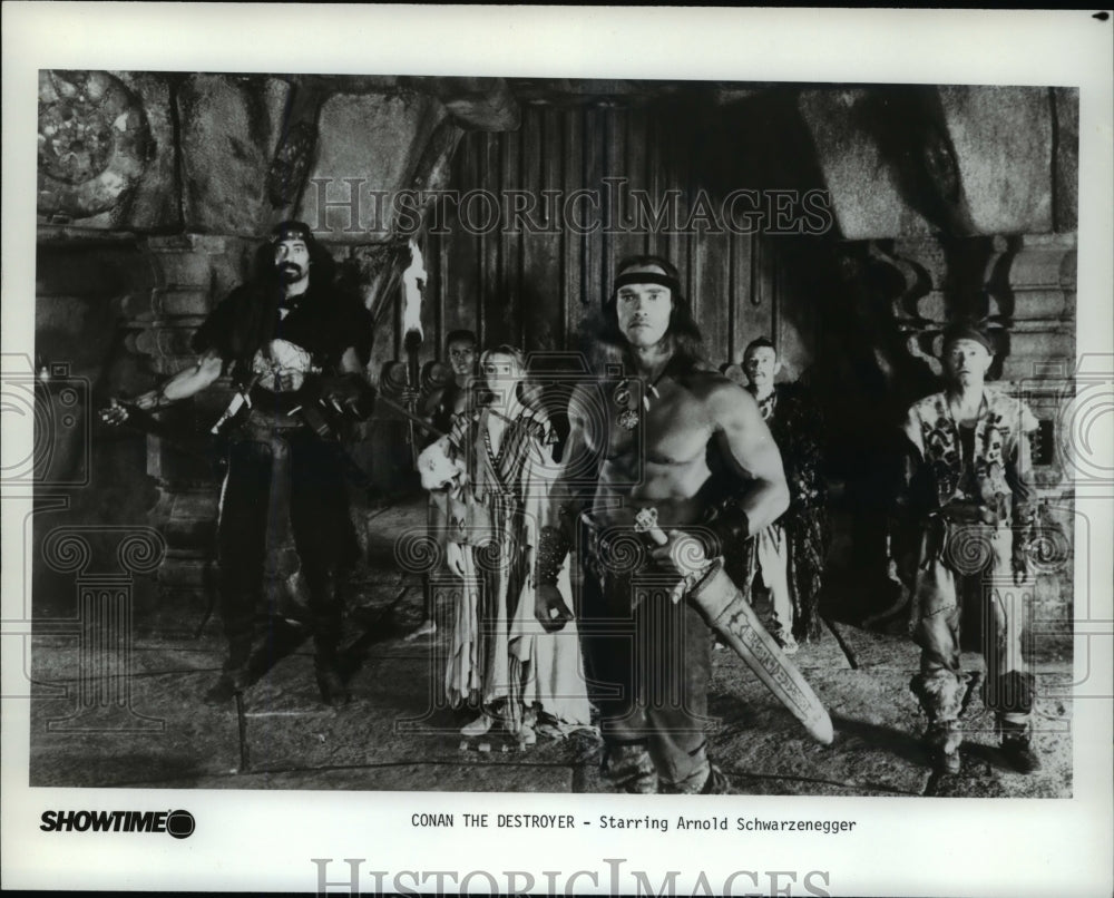 1985 Press Photo Arnold Schwarzenegger in Conan the Destroyer - cvp75900- Historic Images