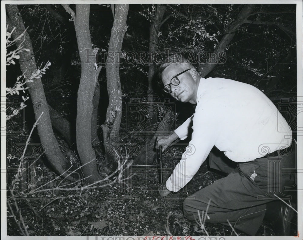 1963 Press Photo Henry Norweb Jr Director Arboretum - cvp78210 - Historic Images