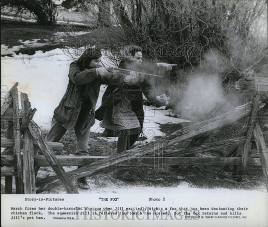 1968 Press Photo The Fox - Historic Images