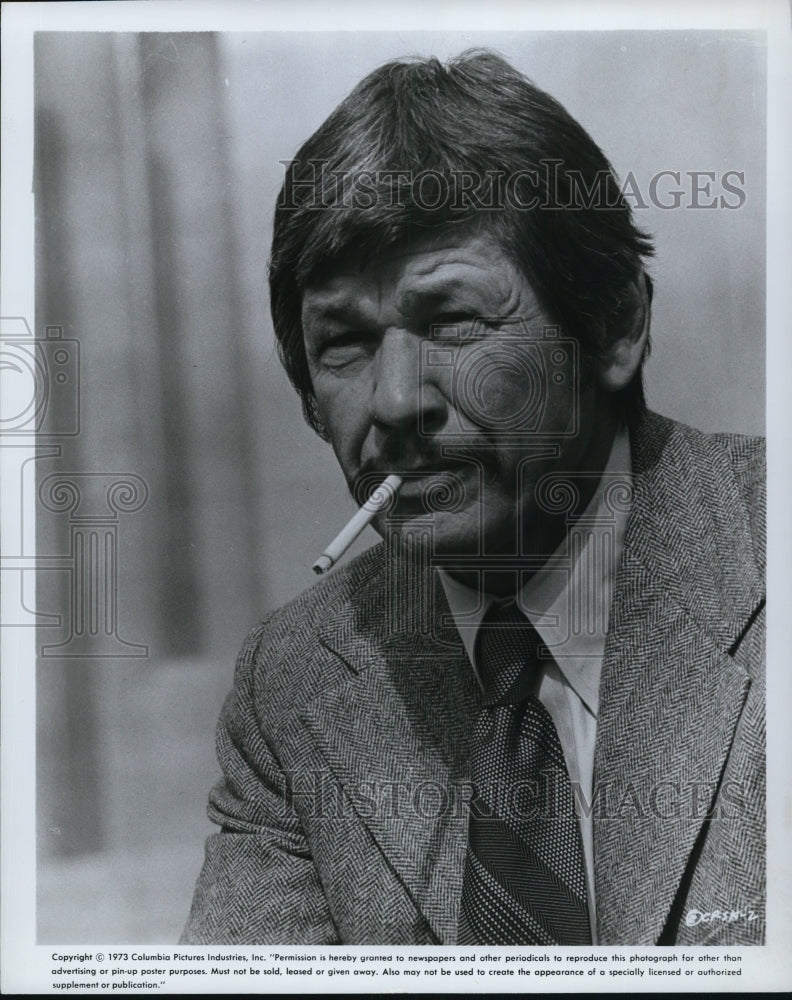 1982 Press Photo Charles Bronson in Death Wish II - Historic Images