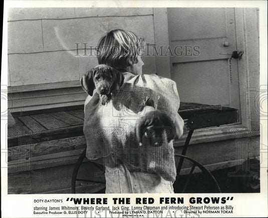 1974 Press Photo Scene From Where The Red Fern Grows - Historic Images