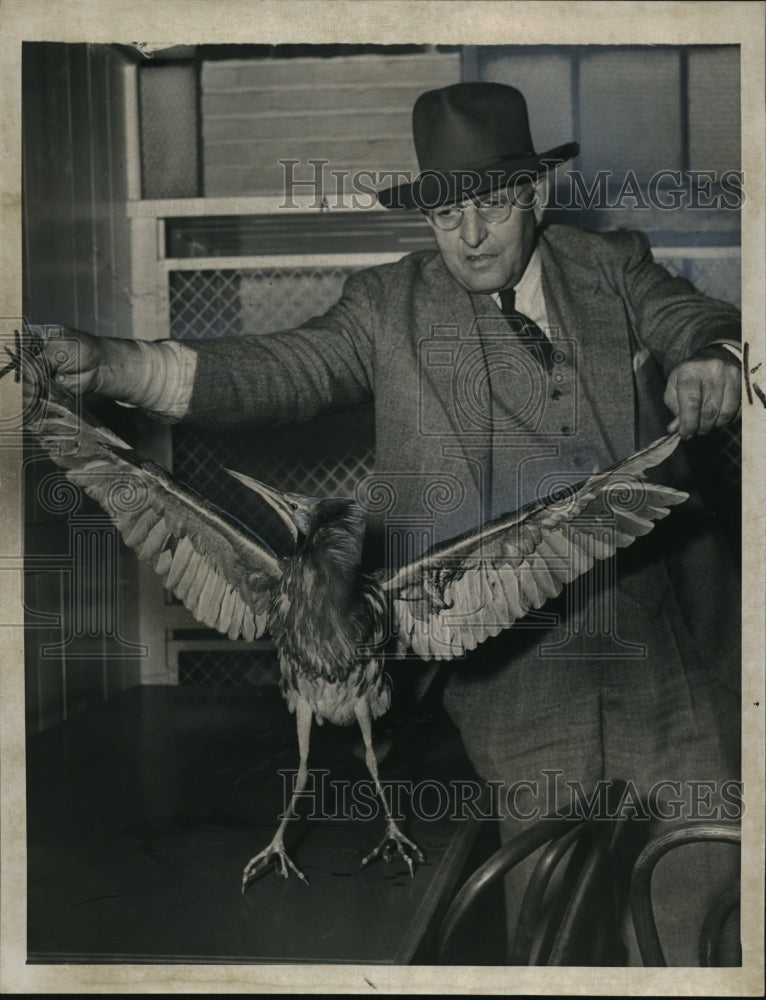 1946 Press Photo City vet. Dr. E.R Snedden holding up an unknown type of bird-Historic Images
