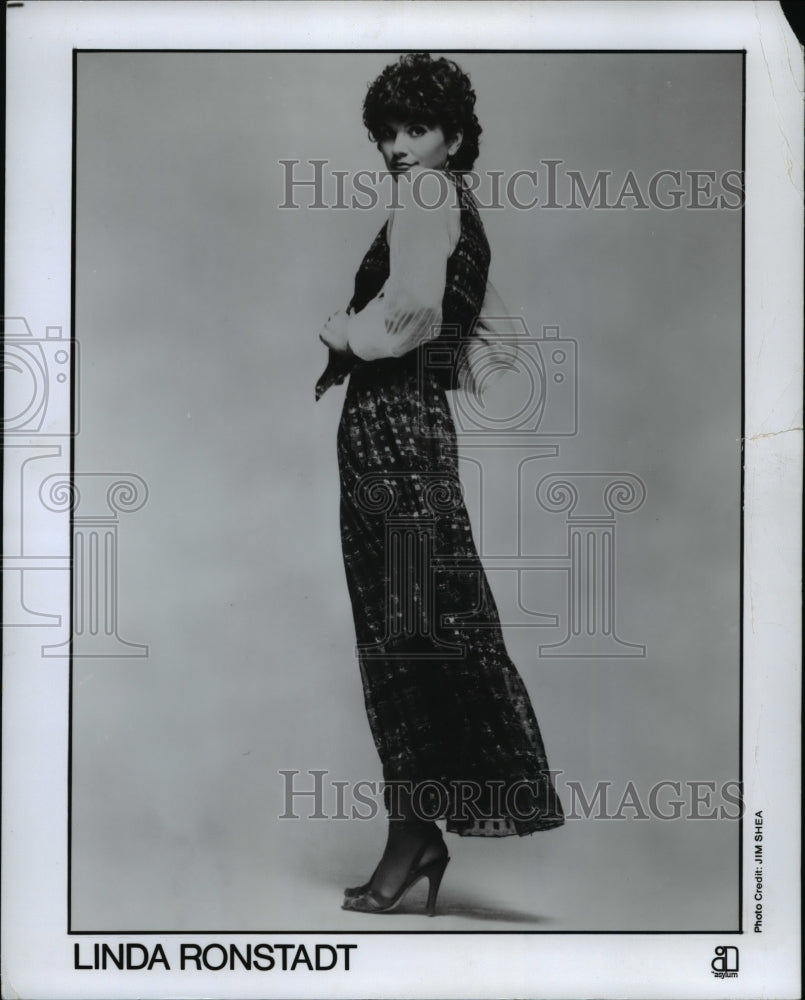 1986 Press Photo Linda Ronstadt - cvp82491 - Historic Images
