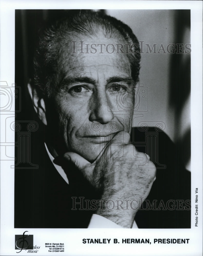 Press Photo Stanley B. Herman, President of Fearless Music - cvp84287 - Historic Images
