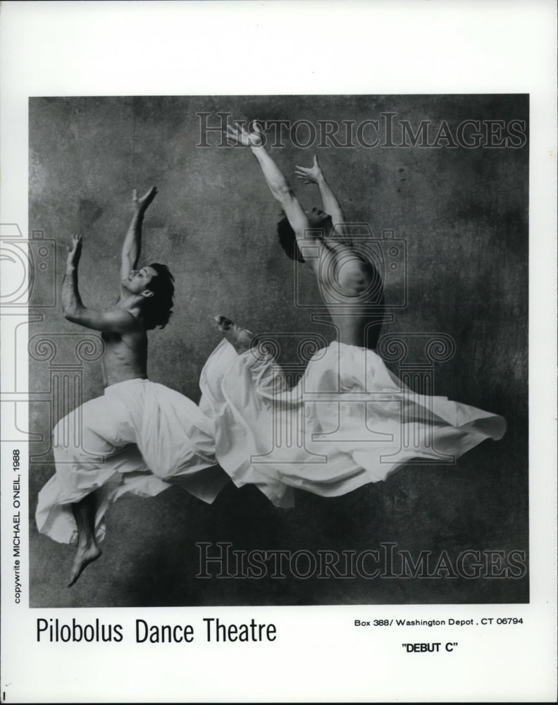 1988, Pilobolus Dance Theatre in Debut C. - cvp84715 - Historic Images