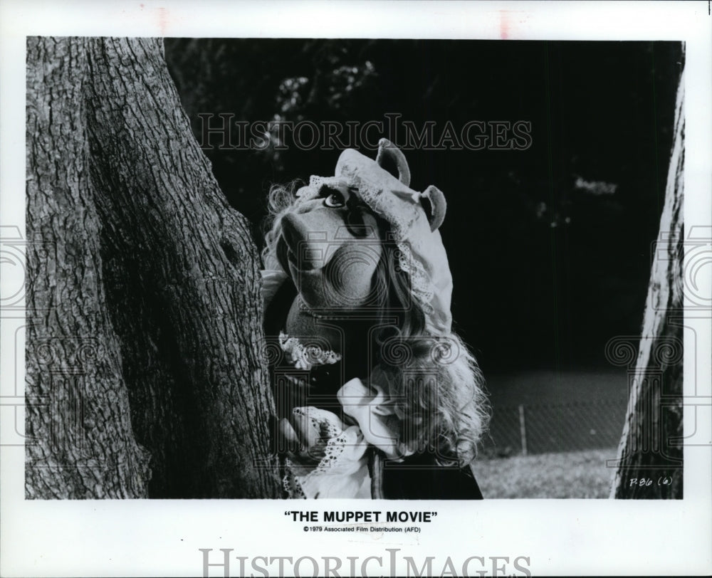 1979 Press Photo The Muppet Movie - cvp86981 - Historic Images