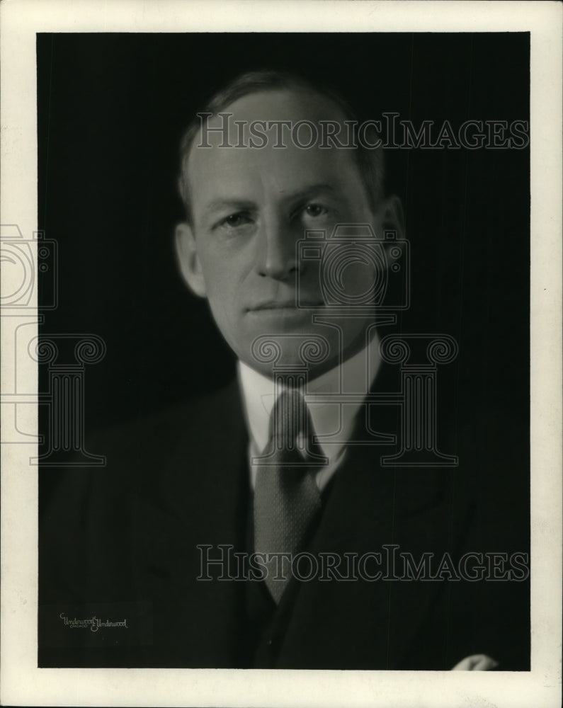 1930 Press Photo U.S. Senator Millard E. Tydings, Maryland - cvp91679 - Historic Images