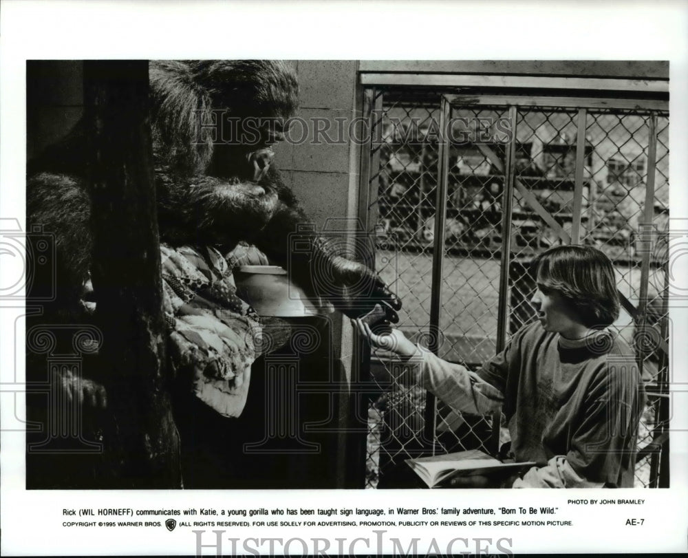 1995 Press Photo Wil Horneff in Born To Be Wild. - cvp96675-Historic Images