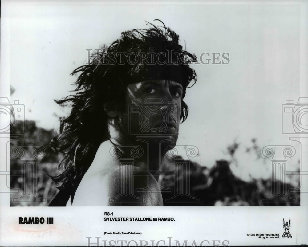 1988 Press Photo Sylvester Stallone in Rambo III - cvp99272- Historic Images