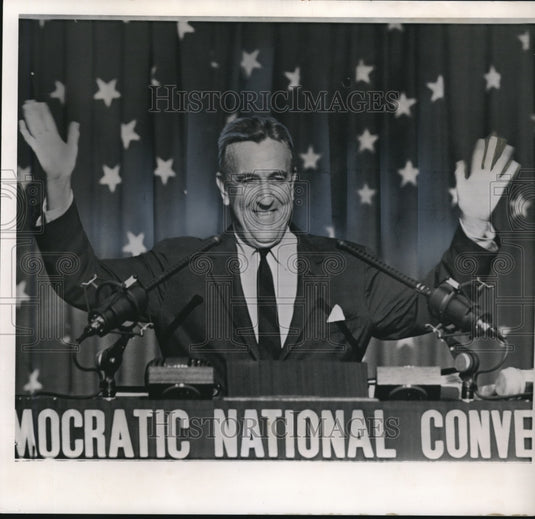 1960 Press Photo Chester Bowles of Connecticut, platform committee chairman - Historic Images