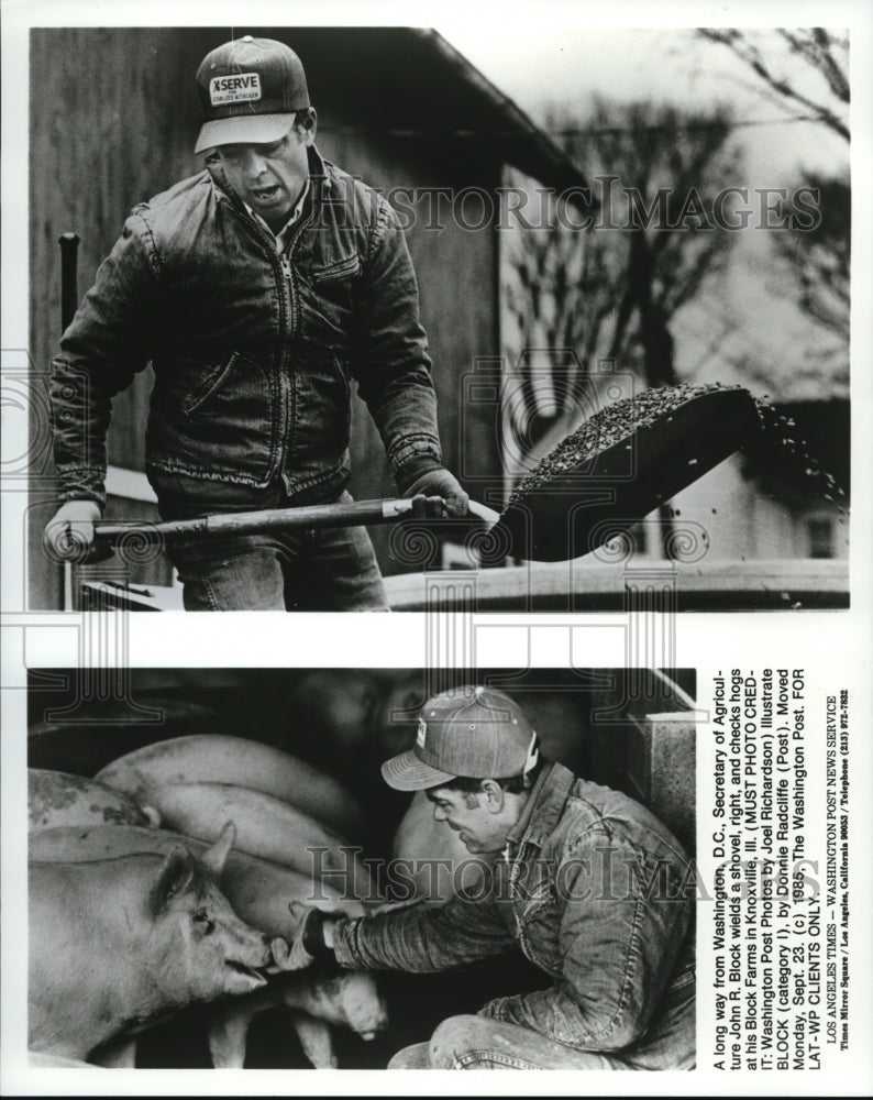 1986 Wire Photo Sec of Agriculture John Block wields a shovel &amp; checks hogs-Historic Images