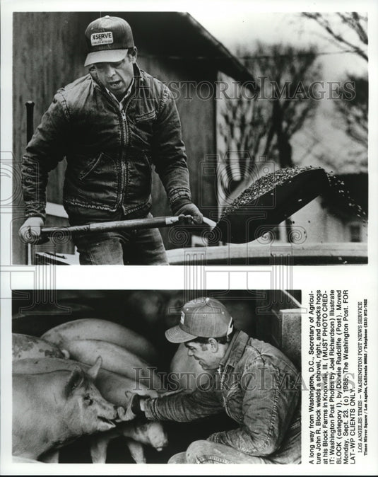 1986 Wire Photo Sec of Agriculture John Block wields a shovel & checks hogs-Historic Images
