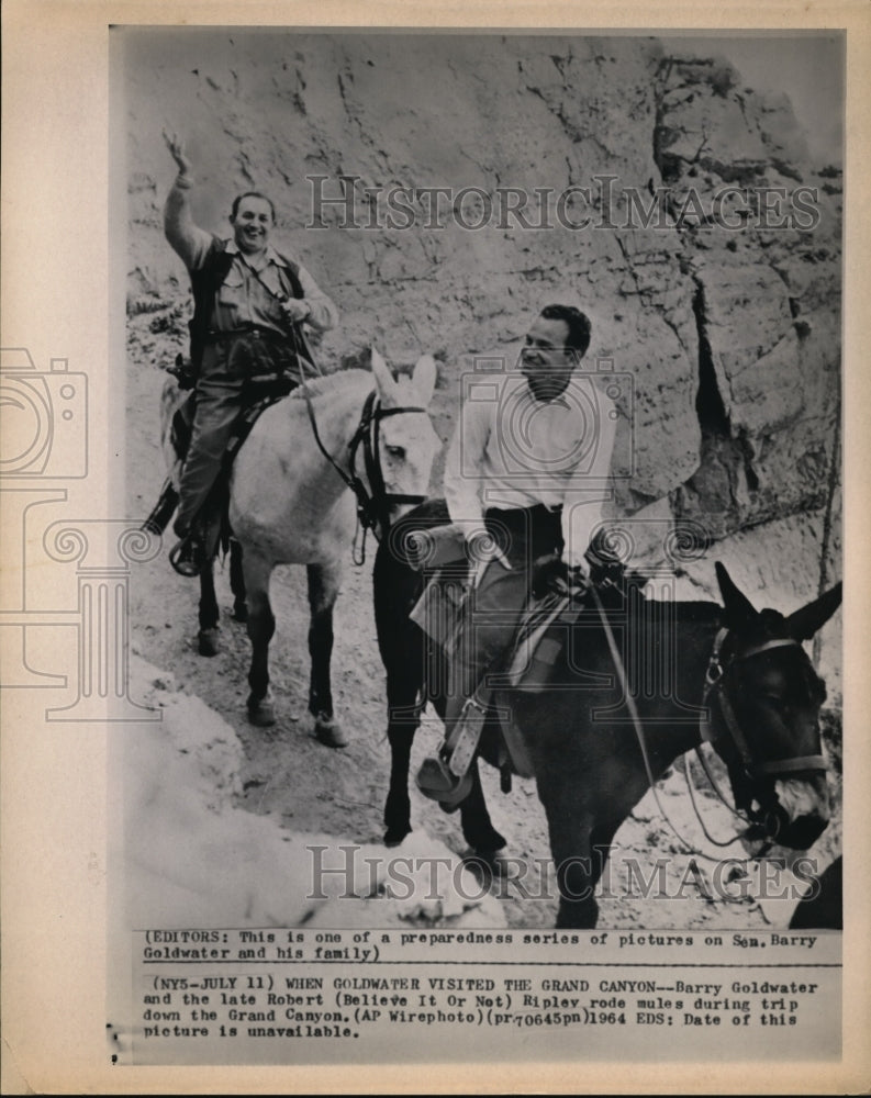 1964 Press Photo Barry Goldwater and Robert Ripley Rode Mules at Grand Canyon - Historic Images