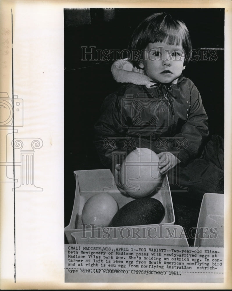 1961 Press Photo Two year old Elizabeth Montgomery with the eggs at Madison Zoo - Historic Images