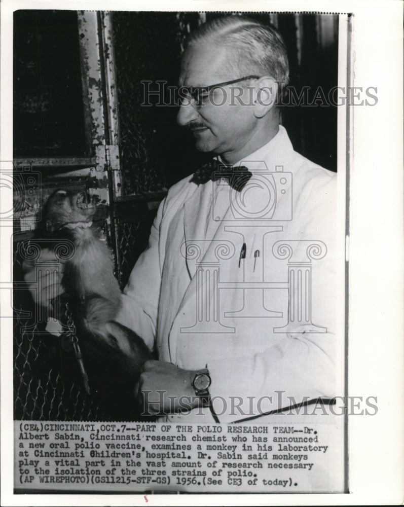 1956 Press Photo Dr Albert Sabin on new oral polio vaccine examines a monkey - Historic Images