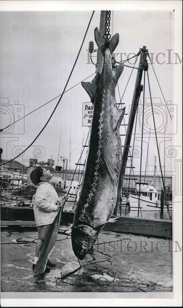 1960 Press Photo John Hunter Posed at Fisherman&#39;s Wharf in San Francisco - Historic Images