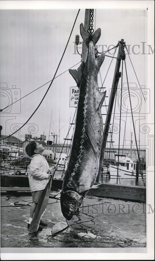1960 Press Photo John Hunter Posed at Fisherman's Wharf in San Francisco - Historic Images