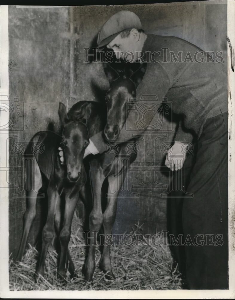 1939 Press Photo Twin fillies born on George Hendrie farm near Hamilton - Historic Images