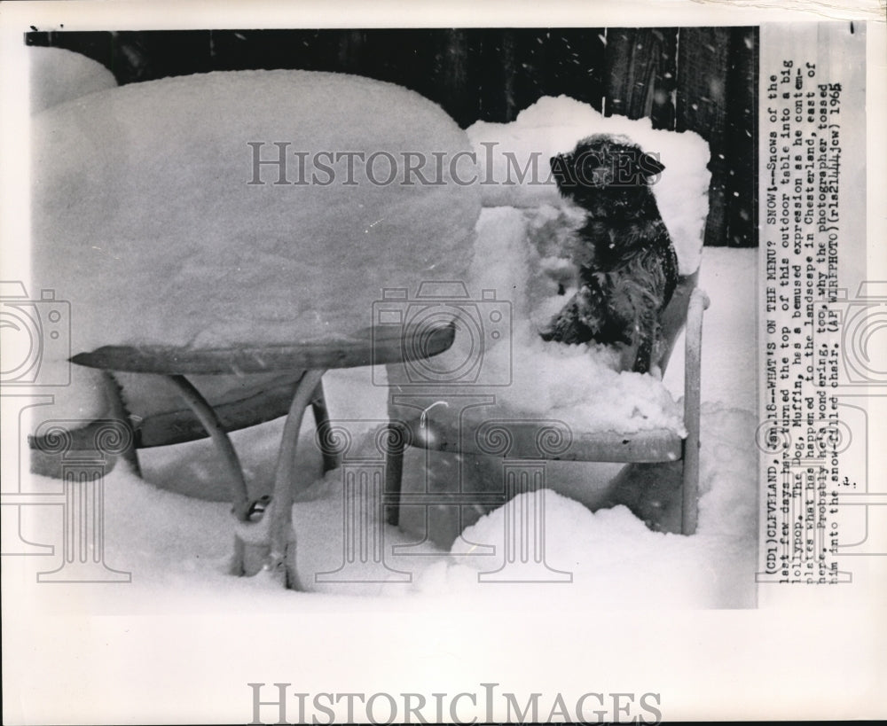 1965 Snows turned the top of this outdoor table into a big lollypop. - Historic Images