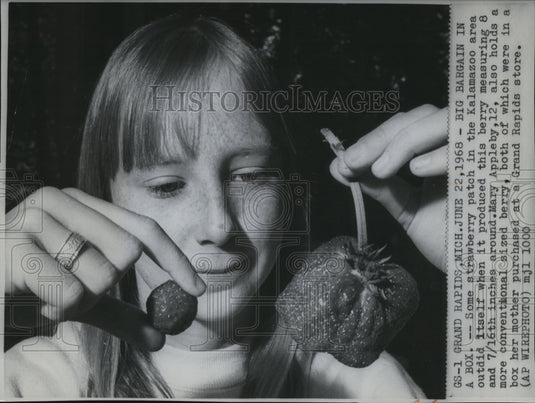 1968 Press Photo The small and big strawberries at the Kalamazoo area - Historic Images