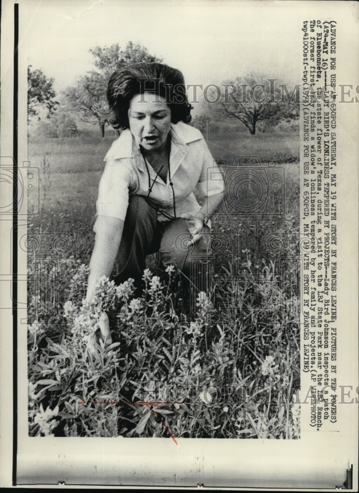 1973 Press Photo Lady Bird Johnson inspects a patch of Bluebonnets - Historic Images