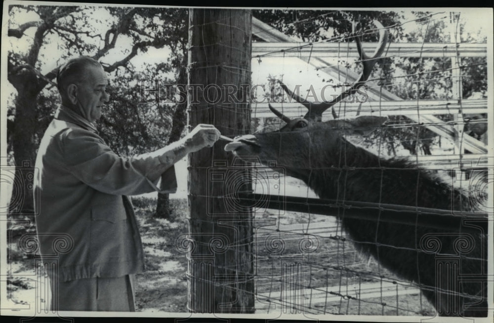 1966 Press Photo President Lyndon Johnson Feeds A Cigarette To A Large Deer - Historic Images