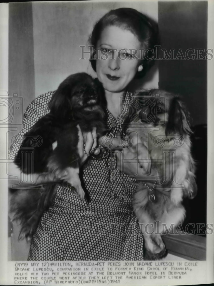 1941 Press Photo Pet Pekes join Madame Lupescu &amp; Carol in Exile - Historic Images