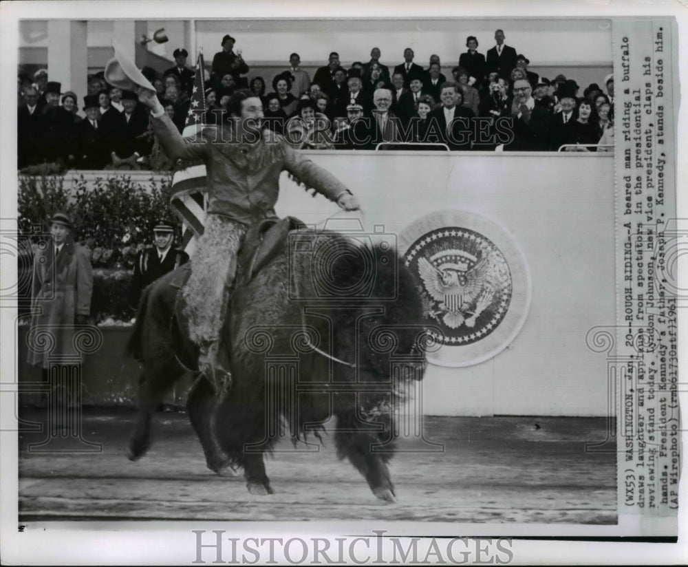 1961 Press Photo Man riding a buffalo draws laughter in the reviewing stand - Historic Images