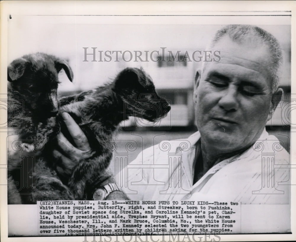 1963 Press Photo White House puppies Butterfly &amp; Streaker with aide Bryant - Historic Images