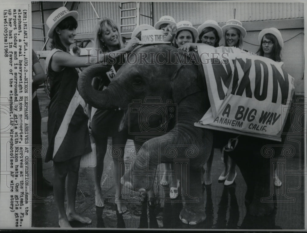 1968 Wire Photo Anna the elephant arrives at Miami for convention - cvw13930 - Historic Images