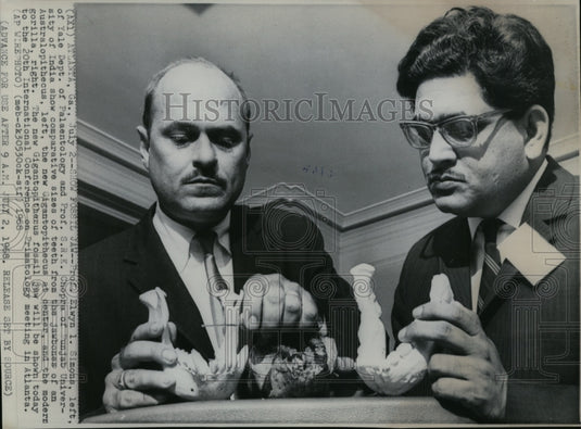 1968 Press Photo Prof.E I.Simons and S.R.K.Chopra Show Sizes of Fossil's  Teeth - Historic Images