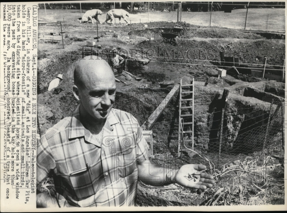 1960 Wire Photo George Miller Holds in His Hand a Micro Fossils - cvw14079 - Historic Images