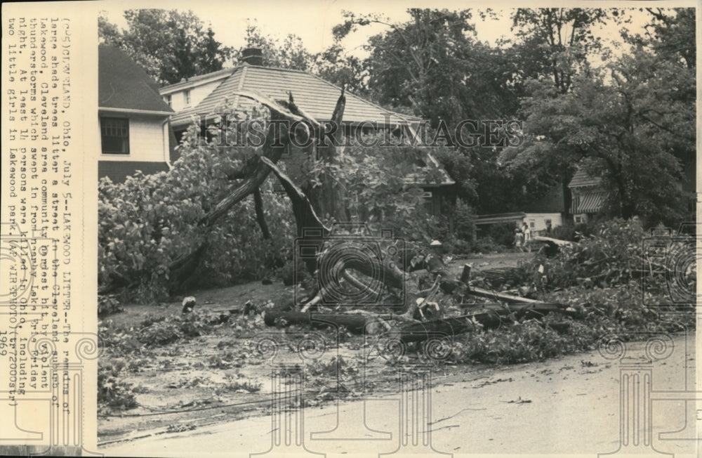 1969 Press Photo Storms swept through Lakewood Ohio leaving trees torn down. - Historic Images