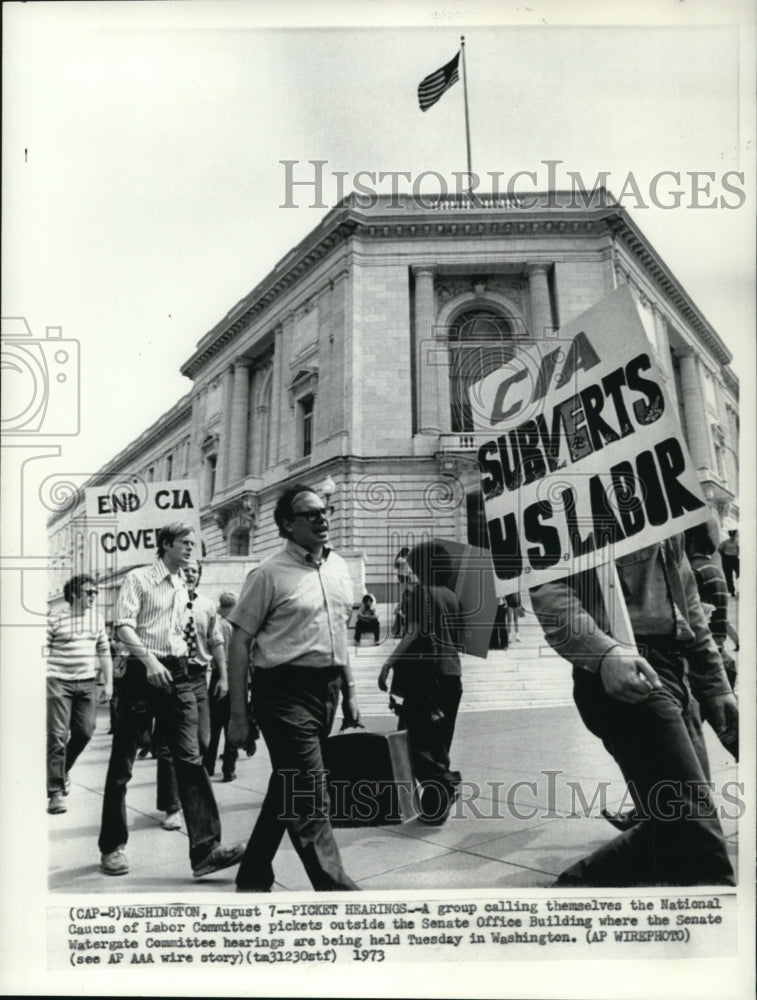 1978 Press Photo National Caucus of Labor Committee pickets outside the Senate - Historic Images