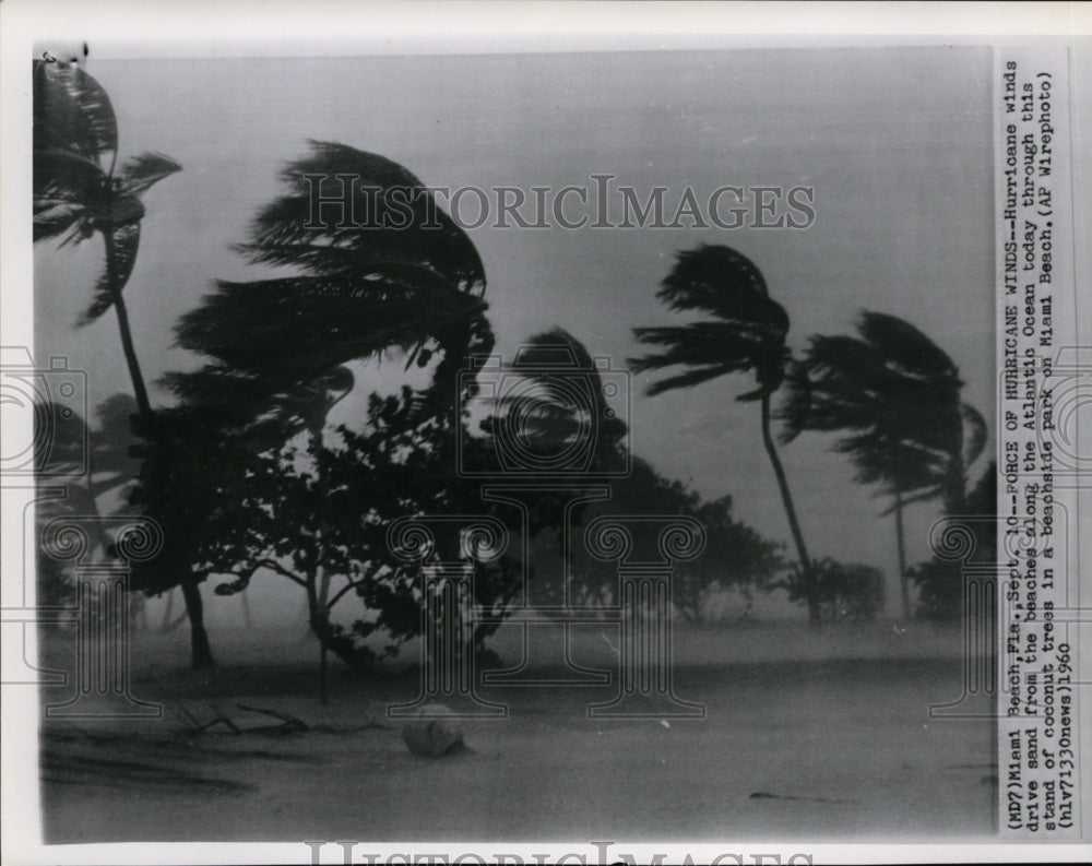 1960 Press Photo Hurricane winds drive sand from the beaches along the Atlantic - Historic Images