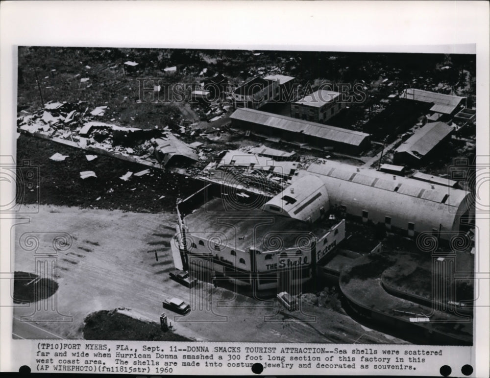 1960 Press Photo Sea shells were scattered far and wide, from Hurricane Donna. - Historic Images