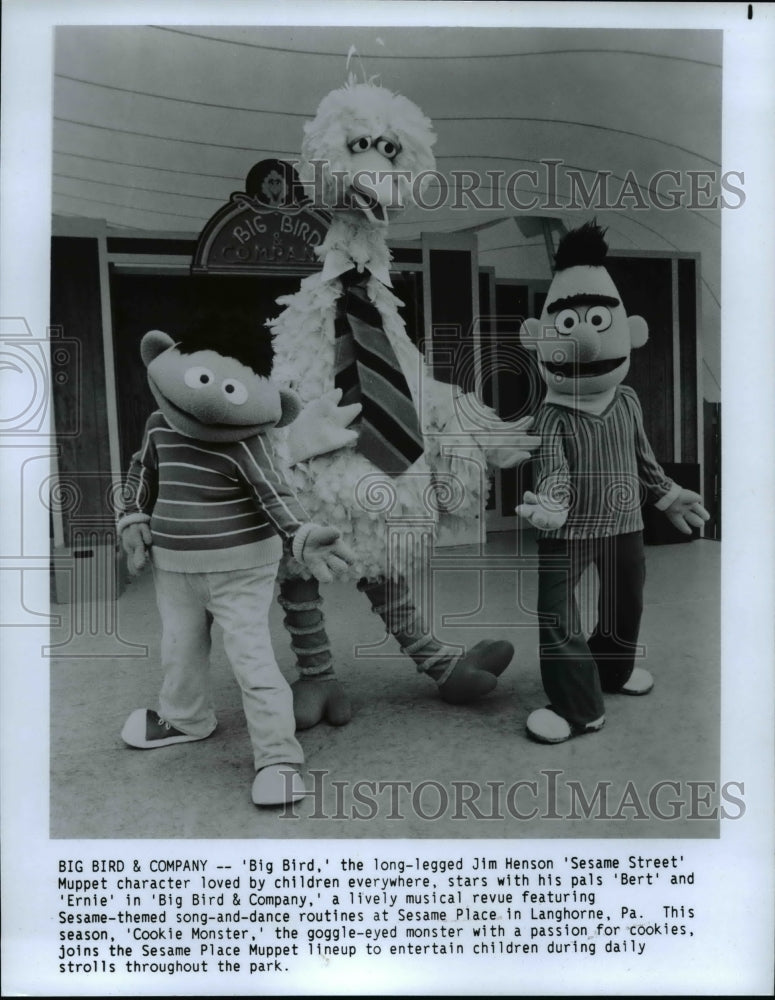 1987 Press Photo Big Bird, Bert, Ernie of Big Bird Company, Sesame Street - Historic Images