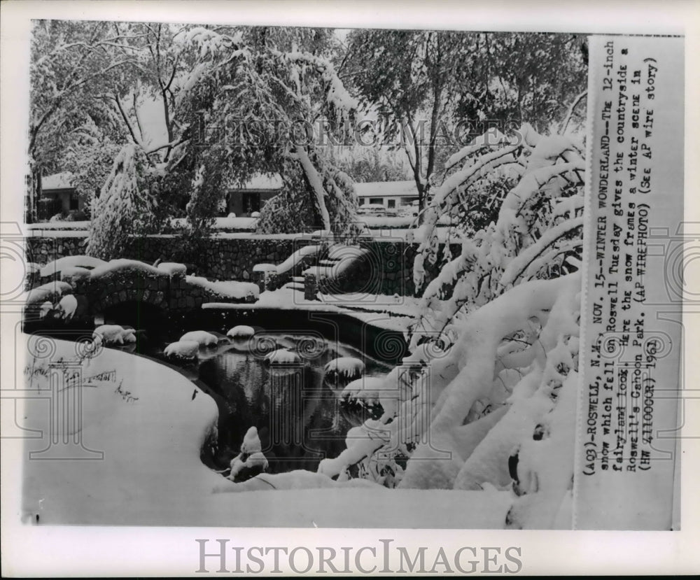 1961 Press Photo Fairyland look during snowfall in Rosewell - cvw21216-Historic Images