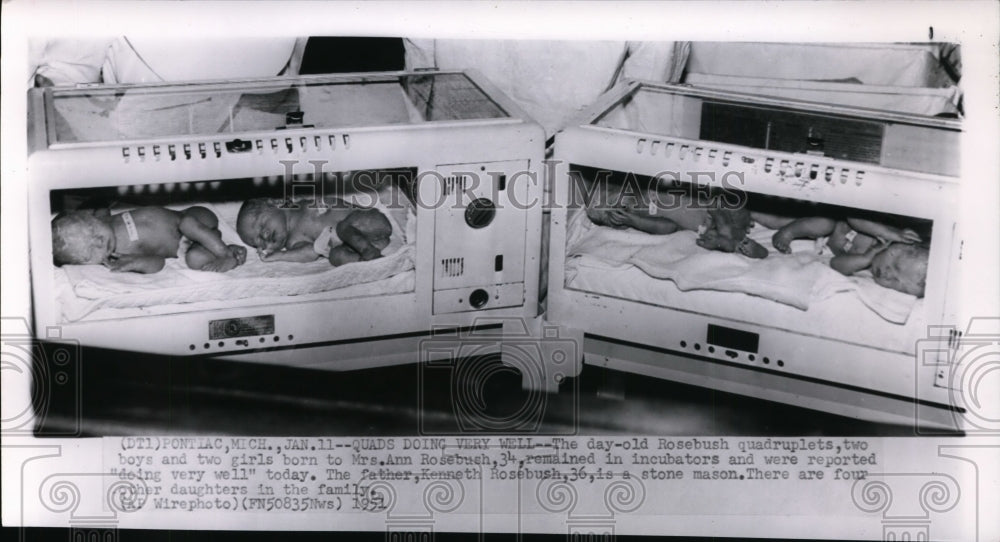 1951 Press Photo The day old Rosebush quadruplets in incubators, Pontiac, Mich - Historic Images