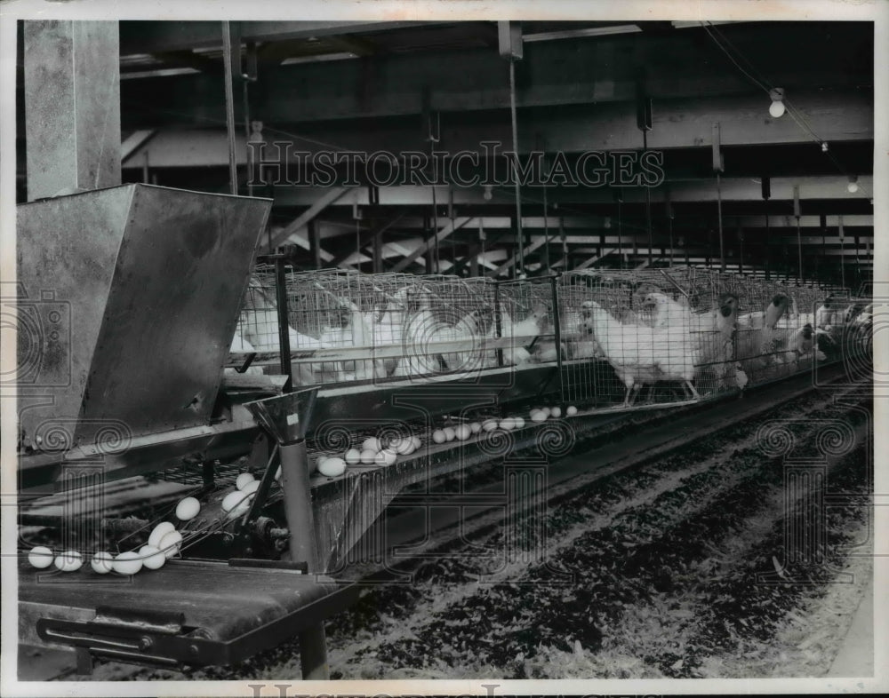 1963 Automatic Eggs - Historic Images