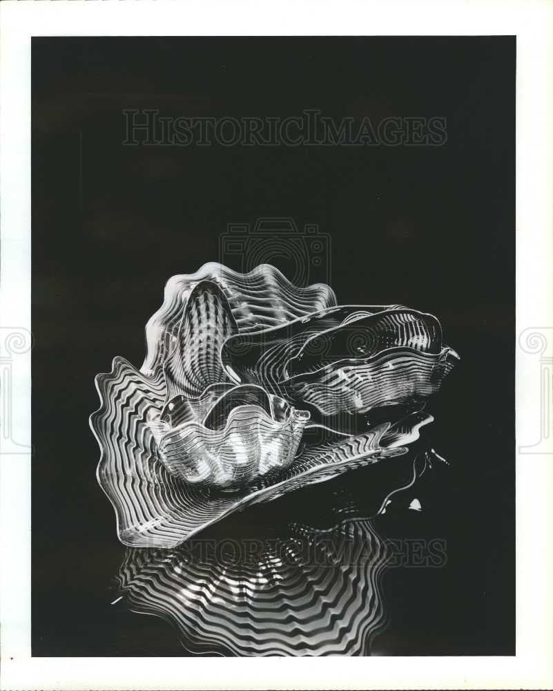 1993 Press Photo sea forms - Historic Images