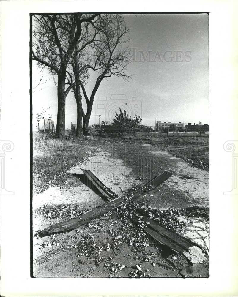 1979 Press Photo HAGE SHEET , BARRIER TO BUSHES - Historic Images
