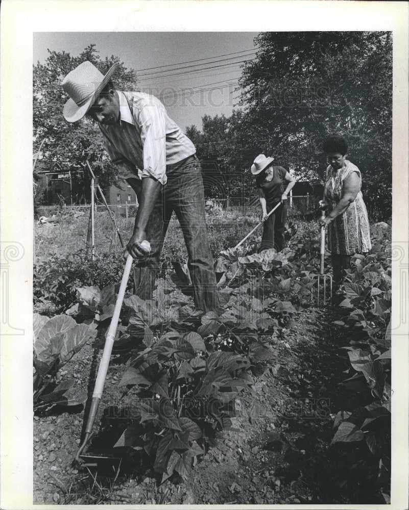1980 Press Photo garden gardening gardener - Historic Images