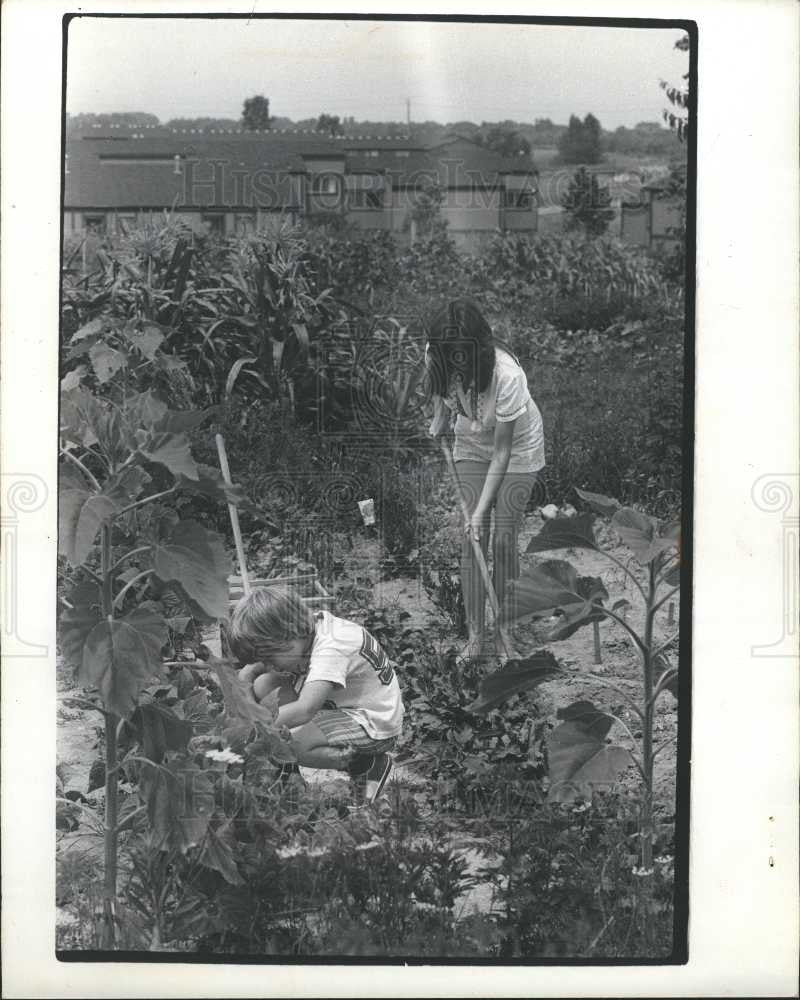 1975 Press Photo gardening - Historic Images