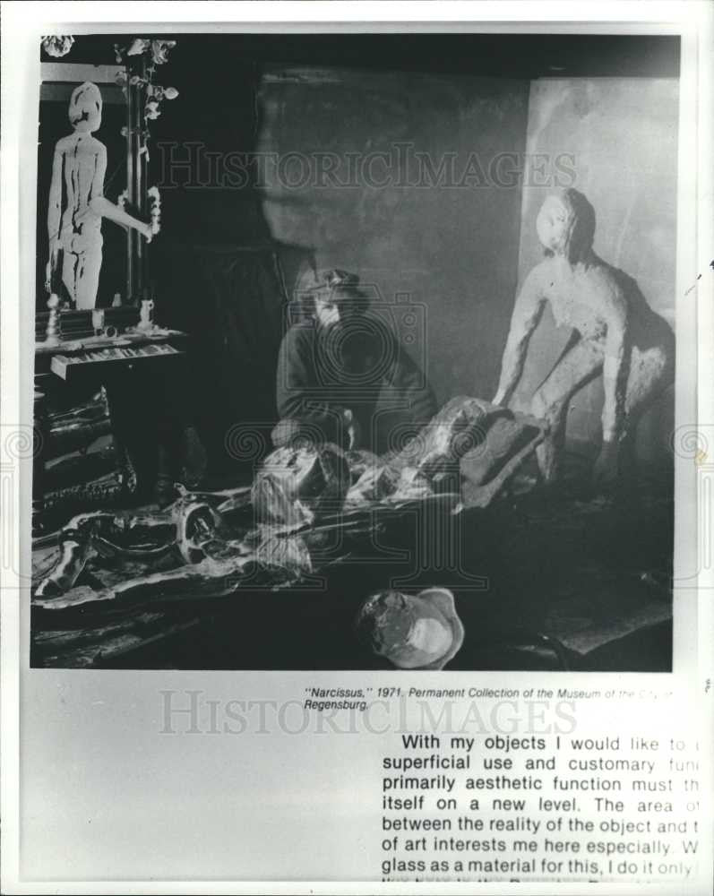 1981 Press Photo Narcissus, 1971 - Historic Images