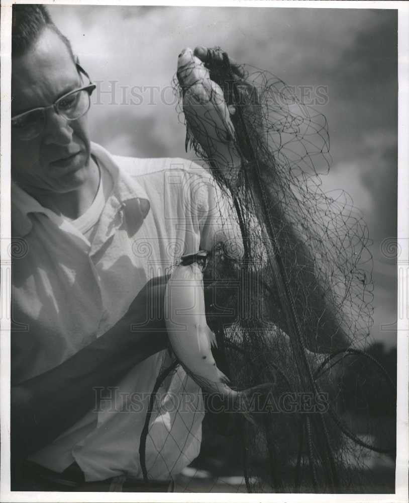 1961 Press Photo Fisheries Research biologists - Historic Images