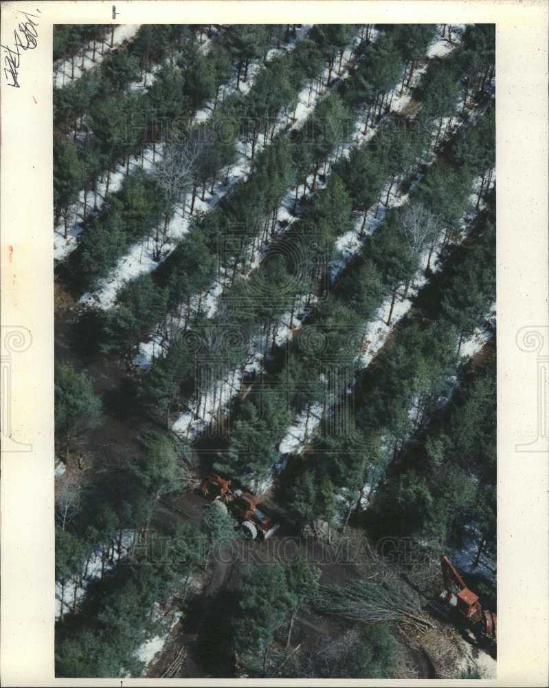 1992 Press Photo Michigan forests groups debate use - Historic Images